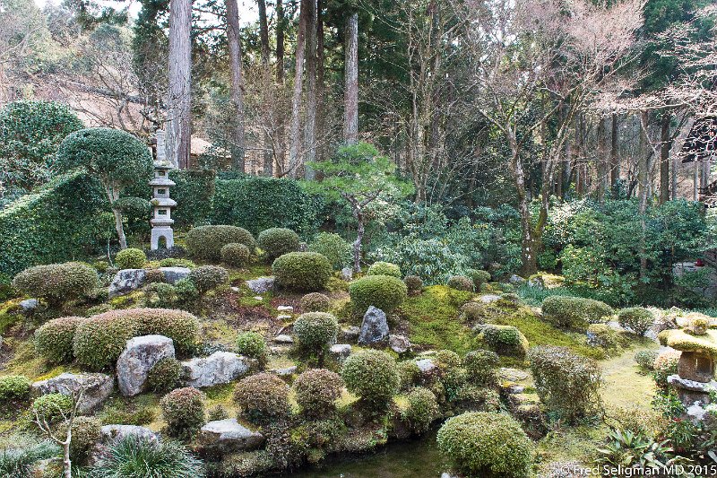 20150313_112809 D4S.jpg - Gardens, Sanzen-in Temple, Kyoto Prefecture